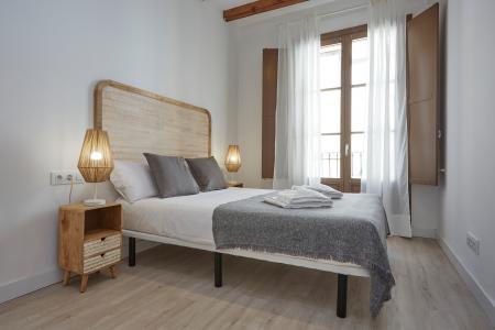 Pis en Lloguer a Barcelona Paloma - Joaquim Costa (10 Months Minimum)