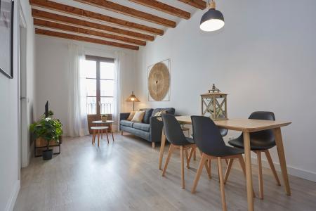 Pis en Lloguer a Barcelona Paloma - Joaquim Costa (10 Months Minimum)