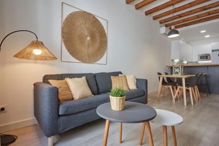 Pis en Lloguer a Barcelona Paloma - Joaquim Costa (10 Months Minimum)