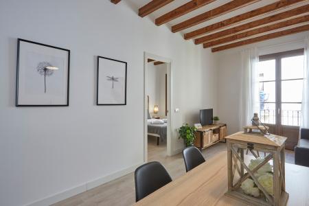 Pis en Lloguer a Barcelona Paloma - Joaquim Costa (10 Months Minimum)