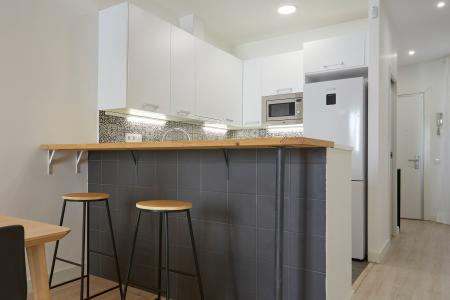 Pis en Lloguer a Barcelona Paloma - Joaquim Costa (10 Months Minimum)