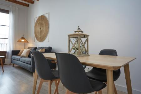 Pis en Lloguer a Barcelona Paloma - Joaquim Costa (10 Months Minimum)