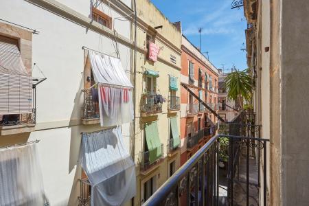 Pis en Lloguer a Barcelona Paloma - Joaquim Costa (10 Months Minimum)