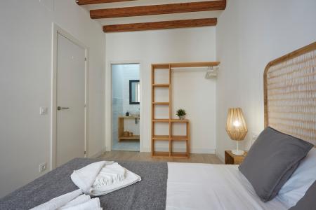 Pis en Lloguer a Barcelona Paloma - Joaquim Costa (10 Months Minimum)