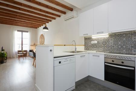 Pis en Lloguer a Barcelona Paloma - Joaquim Costa (10 Months Minimum)