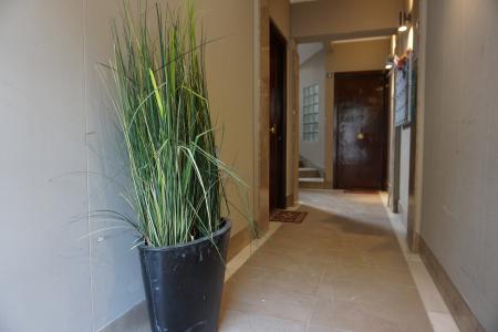 Loft te huur in Barcelona Roca I Batlle - Castanyer