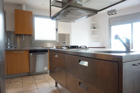 Loft te huur in Barcelona Roca I Batlle - Castanyer