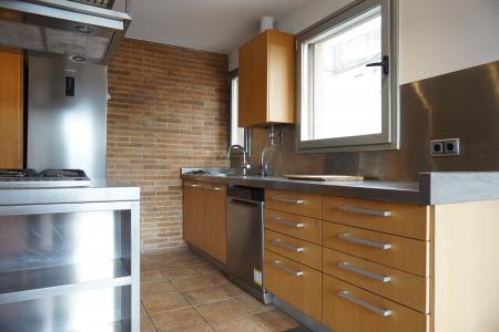 Loft te huur in Barcelona Roca I Batlle - Castanyer