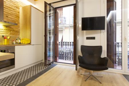 Appartement te huur in Barcelona Passatge Carbonell - Barceloneta