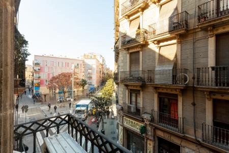 Splendido monolocale in affitto in via Carme