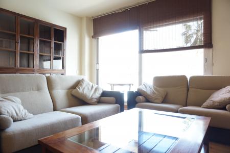 Piso en alquiler en Ramón Trias i Fargas - Ramón Turró