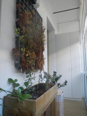 Appartement te huur in Barcelona Provença - Calàbria