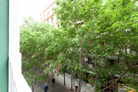 Piso en Alquiler en Barcelona Rogent - Rosellon