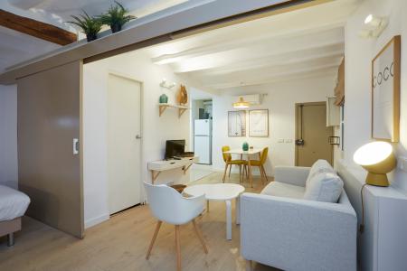 Confortável apartamento de aluguel na R/ Neu De Sant Cugat