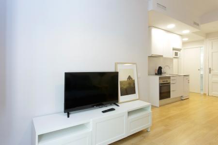 Apartment for Rent in Barcelona Lope De Vega - Pallars