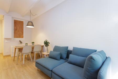 Apartment for Rent in Barcelona Lope De Vega - Pallars