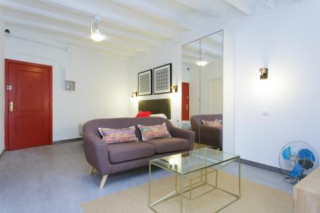 Piso con habitación doble en Gràcia