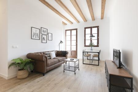 Appartement te huur in Barcelona Macba - Plaça Universitat