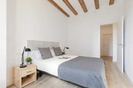 Appartement te huur in Barcelona Macba - Plaça Universitat