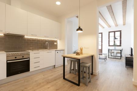 Appartement te huur in Barcelona Macba - Plaça Universitat