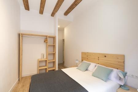 Pis en Lloguer a Barcelona Joaquim Costa - Peu De La Creu (10 Months Minimum)