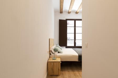 Pis en Lloguer a Barcelona Joaquim Costa - Peu De La Creu (10 Months Minimum)