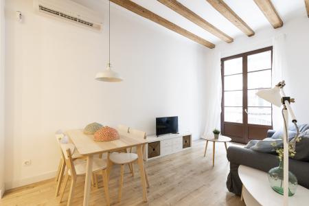 Pis en Lloguer a Barcelona Joaquim Costa - Peu De La Creu (10 Months Minimum)