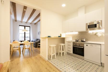 Pis en Lloguer a Barcelona Joaquim Costa - Peu De La Creu (10 Months Minimum)