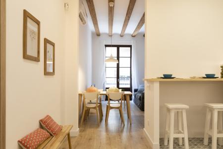 Pis en Lloguer a Barcelona Joaquim Costa - Peu De La Creu (10 Months Minimum)