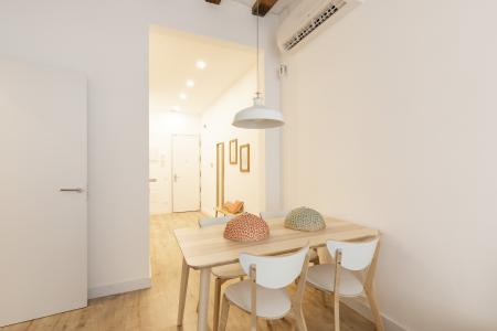 Pis en Lloguer a Barcelona Joaquim Costa - Peu De La Creu (10 Months Minimum)