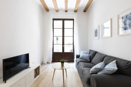 Pis en Lloguer a Barcelona Joaquim Costa - Peu De La Creu (10 Months Minimum)