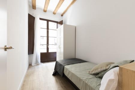 Pis en Lloguer a Barcelona Joaquim Costa - Peu De La Creu (10 Months Minimum)