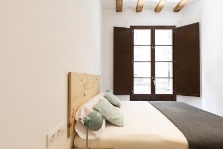 Pis en Lloguer a Barcelona Joaquim Costa - Peu De La Creu (10 Months Minimum)