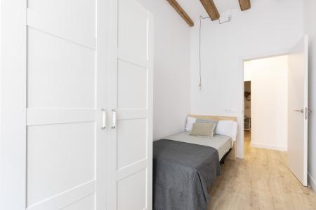 Pis en Lloguer a Barcelona Joaquim Costa - Peu De La Creu (10 Months Minimum)