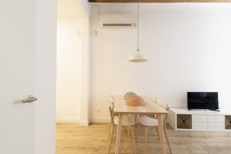 Pis en Lloguer a Barcelona Joaquim Costa - Peu De La Creu (10 Months Minimum)