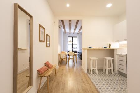 Pis en Lloguer a Barcelona Joaquim Costa - Peu De La Creu (10 Months Minimum)