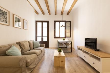 Appartement te huur in Barcelona Macba - Plaza Universitat