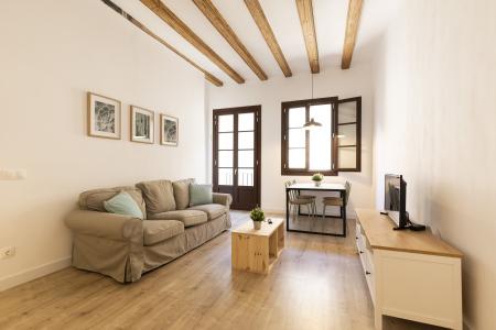 Appartement te huur in Barcelona Macba - Plaza Universitat