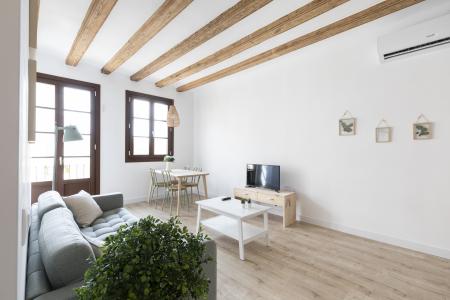 Appartement te huur in Barcelona Macba - Plaça Universitat