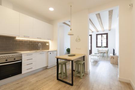 Appartement te huur in Barcelona Macba - Plaça Universitat