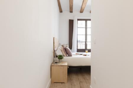 Appartement te huur in Barcelona Macba - Plaça Universitat