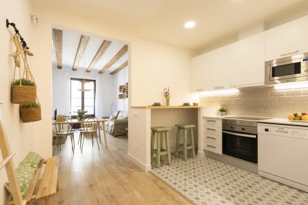 Appartement te huur in Barcelona Macba - Plaça Universitat