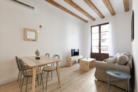 Appartement te huur in Barcelona Macba - Plaça Universitat