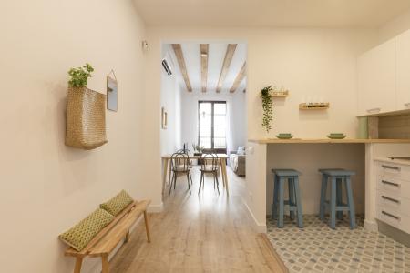 Appartement te huur in Barcelona Macba - Plaça Universitat
