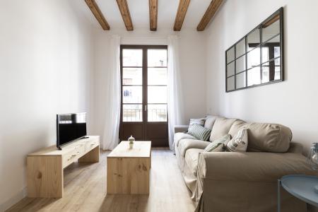 Appartement te huur in Barcelona Macba - Plaça Universitat