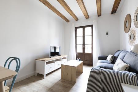 Wohnung zur Miete in Barcelona Joaquim Costa - Peu De La Creu (10 Months Minimum)