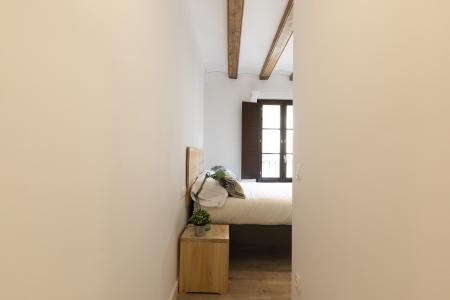 Wohnung zur Miete in Barcelona Joaquim Costa - Peu De La Creu (10 Months Minimum)
