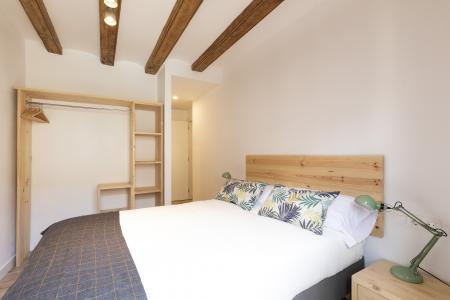 Wohnung zur Miete in Barcelona Joaquim Costa - Peu De La Creu (10 Months Minimum)