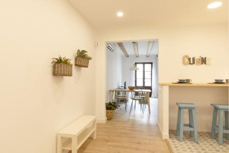 Wohnung zur Miete in Barcelona Joaquim Costa - Peu De La Creu (10 Months Minimum)