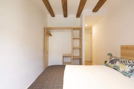 Wohnung zur Miete in Barcelona Joaquim Costa - Peu De La Creu (10 Months Minimum)
